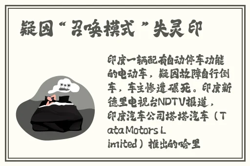 老师你的兔子好软水好多网站